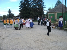 szuret2017_7_20220219